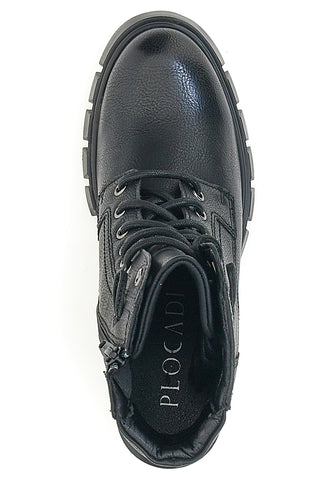 Schwarzhackige Amphibien Plocadi 2305