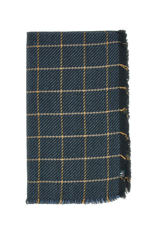 Sciarpa a Quadri Blu Basile 0149/U