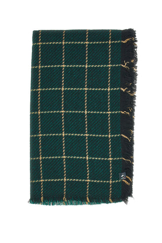 Sciarpa Verde a Quadri Basile 0149/U
